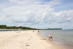 Strand - FeWo15: Balkon, Sauna, Schwimmbad - Top-Hundeurlaub