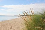 Strand - FeWo15: Balkon, Sauna, Schwimmbad - Top-Hundeurlaub