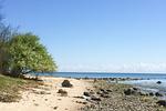 Strand - FeWo15: Balkon, Sauna, Schwimmbad - Top-Hundeurlaub