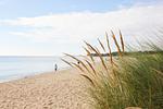 Strand - FeWo09: Balkon, Sauna, Schwimmbad - Top-Hundeurlaub