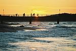 Strand - FeWo28: Terrasse,Sauna,Schwimmbad - Top-Hundeurlaub