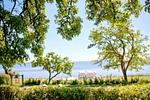 Landschaft - Haus: Meerblick, Terr, Garten - Top-Hundeurlaub