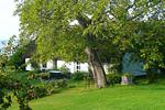 Fassade / Eingang - FeWo1: Meerblick, Terr, Garten - Top-Hundeurlaub