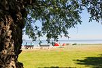 Strand - FeWo1: Meerblick, Terr, Garten - Top-Hundeurlaub