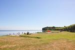 Strand - FeWo3: Terr., Garten, Badesteg - Top-Hundeurlaub