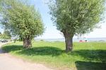 Strand - FeWo3: Terr., Garten, Badesteg - Top-Hundeurlaub