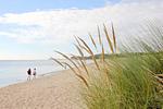 Strand - Haus: Strand,Sauna,Pool,Garten,Meerblick - Top-Hundeurlaub