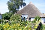 Nachbarschaft - FeWoEG: Terrasse,etwMeerblick - Top-Hundeurlaub