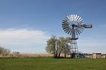 Landschaft - Haus: strandnah, Terrasse, Garten - Top-Hundeurlaub