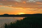 Landschaft - FeWo11: Terrasse, Sauna, Schwimmbad - Top-Hundeurlaub