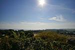 Landschaft - FeWo11: Terrasse, Sauna, Schwimmbad - Top-Hundeurlaub