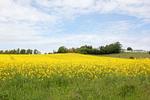 Landschaft - FW22:Balkon,Meerblick,Sauna,Schwimmbad - Top-Hundeurlaub