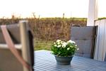 Terrasse - FeWo12: Terrasse, Sauna, Schwimmbad - Top-Hundeurlaub