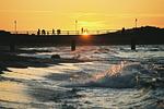 Strand - FW64:Balkon,Meerblick,Sauna,Schwimmbad - Top-Hundeurlaub