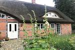 Fassade / Eingang - FeWo: Terrasse, Gartennutzung - Top-Hundeurlaub
