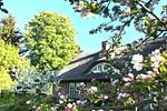 Fassade / Eingang - FeWo: Terrasse, Gartennutzung - Top-Hundeurlaub