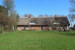 Garten - FeWo: Terrasse, Gartennutzung - Top-Hundeurlaub