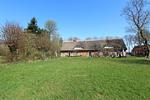 Garten - FeWo: Terrasse, Gartennutzung - Top-Hundeurlaub