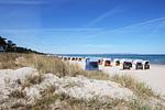Strand - Haus: Terrasse, für Gruppen bis zu 16 Personen geeignet - Top-Hundeurlaub