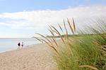 Strand - FeWo 02 MEERsand: Terrasse - Top-Hundeurlaub