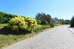 Nachbarschaft - FeWo 03 MEERbodden: Terrasse,Sauna,Schwimmbad - Top-Hundeurlaub