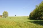 Landschaft - FeWo 03 MEERbodden: Terrasse,Sauna,Schwimmbad - Top-Hundeurlaub