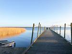 Landschaft - FeWo 05 MEERhafen: Terrasse - Top-Hundeurlaub