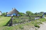 Nachbarschaft - FeWo 07 MEERstille: Terrasse - Top-Hundeurlaub