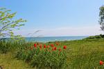 Landschaft - FeWo 07 MEERstille: Terrasse - Top-Hundeurlaub
