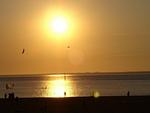 Am Koper Sand 28/2 - Wattwurm - Top-Hundeurlaub