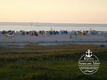 Am Koper Sand 28/2 - Wattwurm - Top-Hundeurlaub