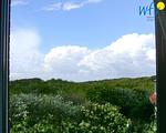 Landschaft - Ferienwohnung Strandläufer - Top-Hundeurlaub