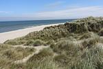 Strand - Lena´s Hüs - Top-Hundeurlaub