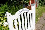 Dekoratives Detail - Meeresgarten - Top-Hundeurlaub