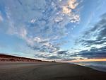 Strand - Seestern - Top-Hundeurlaub