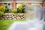 Garten - Neue Liebe - Top-Hundeurlaub