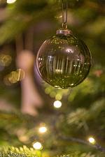 Apartment Schloßblick - Top-Hundeurlaub