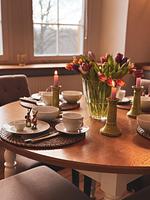 Apartment Schloßblick - Top-Hundeurlaub