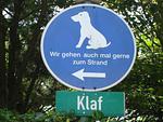Zaunkönig - Top-Hundeurlaub