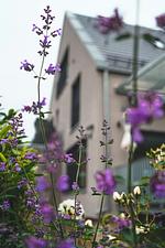 Ferienhaus Renkenmühle - Top-Hundeurlaub