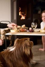 Ferienhaus Renkenmühle - Top-Hundeurlaub