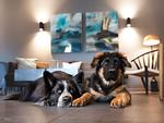 Ferienhaus Renkenmühle - Top-Hundeurlaub