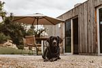 Ferienhaus TierbachLodge - Top-Hundeurlaub