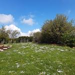 Ferienhaus Landvilla Diebach - Top-Hundeurlaub