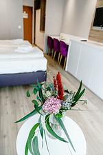 DesignLoft Harz 223 - Top-Hundeurlaub