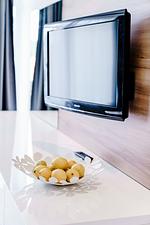 DesignLoft Harz 949 - Top-Hundeurlaub