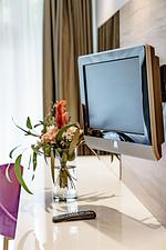 DesignLoft Harz 226 - Top-Hundeurlaub