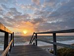 Strand - Albatros EG - Top-Hundeurlaub