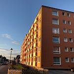 Hauptansicht - Seepferdchen - Top-Hundeurlaub