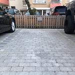 Dekoratives Detail - Seepferdchen - Top-Hundeurlaub